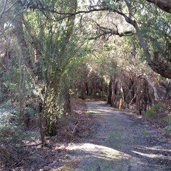 walking into Walpole