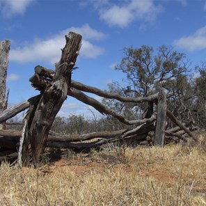 Old stockyards on the Stockyard Track