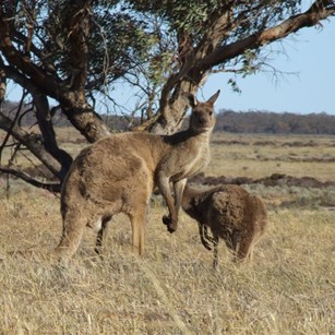 What do you blokes want?