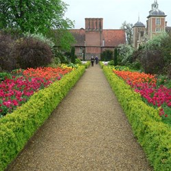 Colourful tulips light up even the most overcast day.