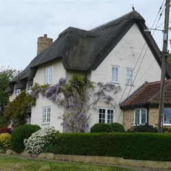 Chocolate box cottage garden