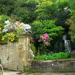 A study in contrasts with the sound of the waterfall adding an extra dimension.