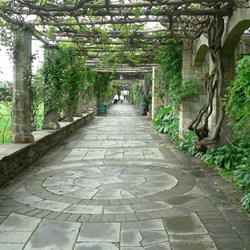 A huge wisteria-covered gallery