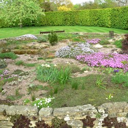 Miniature flowers at Madingley Hall.