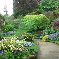 A quiet corner in Hever Castle gardens