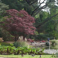 Lakes, big trees and colour are features of Sheffield Park