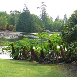 Contrasts of light and texture make for grand views.