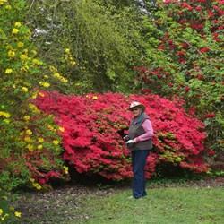 Val enjoying the brilliant flowers