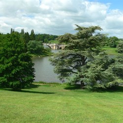 The park, lake and bridge.