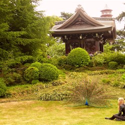 More sights from the Kew Explorer