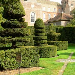 It must take ages to trim.