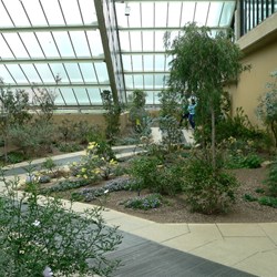 The Australian section was rather wan looking - not enough sun!