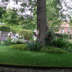 The Treasurer's Garden, York.