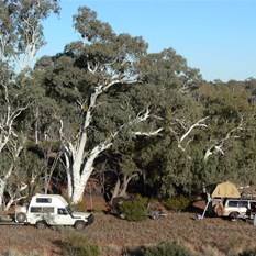 Camp by the Savory Creek