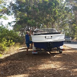 Collecting firewood from the roadside