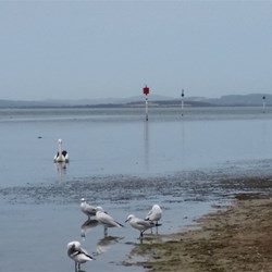 Too windy elsewhere but we found this!