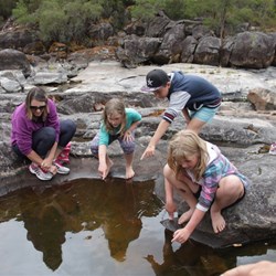 Tadpole hunting at Circular Pool
