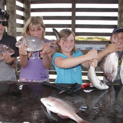 A successful day fishing (pink snapper)