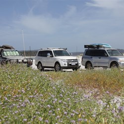 Trip Leader for the day