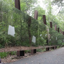 The wall of perception in the forest