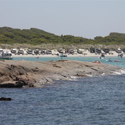 The 1 good day and everyone came out of the woodwork!