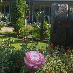 Lovely gardens at the Chocolate Factory