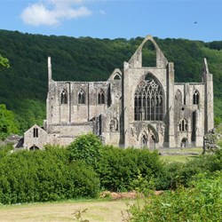 Tintern Abbey in sunlight.