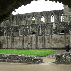 A tracery of stonework.