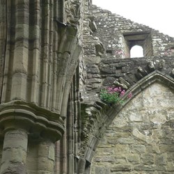 Detail of the stonemasons craft - and flowers that cling on in crevices.