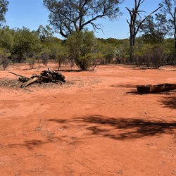 Campsite 2 was large and open, set amongst the Black Oak