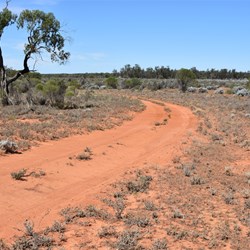 More open country after leaving Tipperary Hut