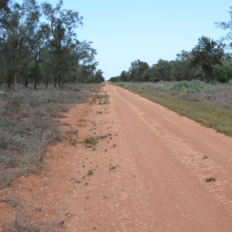 Travelling through Black Oak Country