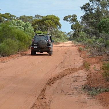 Back into Mallee Country south of Hypurna