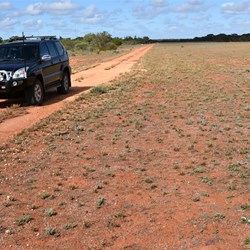 You travel on the edge of the Canopus Airstrip before having to turn off.