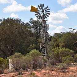Old Windmills are a true icon of the bush