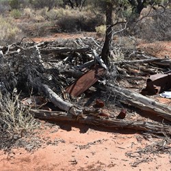 This old Musterers Hut was made from local Black Oak Timber