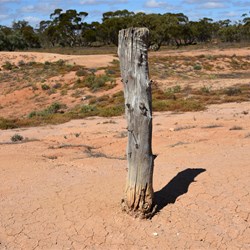 This old post could sure tell a story 