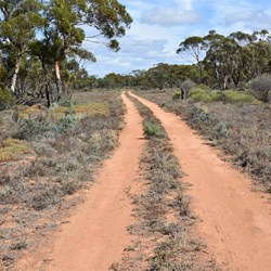 Changing Track scenery
