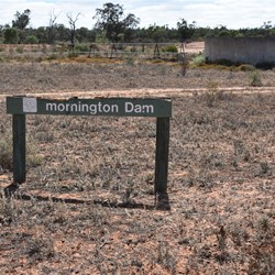 Mornington Dam Area