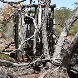 The Mallee is taking over the outside toilet at Birthday Hut