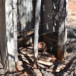What is left of the old Outhouse
