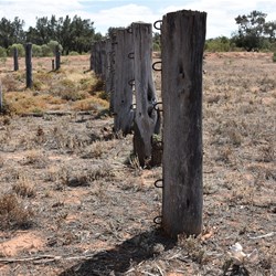Mornington Cattle Yards built in the 1950's