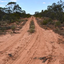 Changing scenery on the Nanya Pad Drive