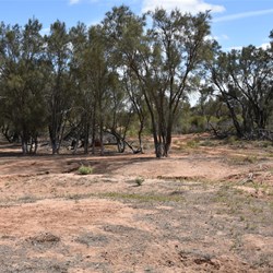 Changing scenery on the Nanya Pad Drive