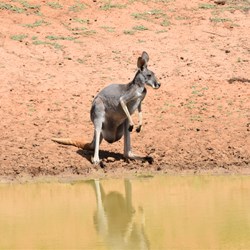 She was very hesitant to drink knowing I was close by