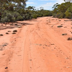 Red sand and Mallee, what more could you want