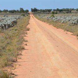 Bluebush Plains leading into Black Oak Country