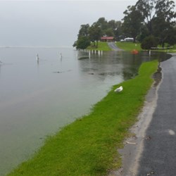 water level beginning to rise