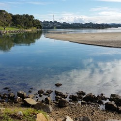 silting occurring in front of the unpowered section of the Park