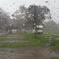 wet view of the park from my warm and dry dinette